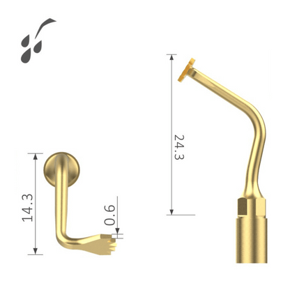 Ultraschallspitzen SInuslifting XP-mUL1_2
